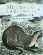 Still Waters & Wild Waves - Preview