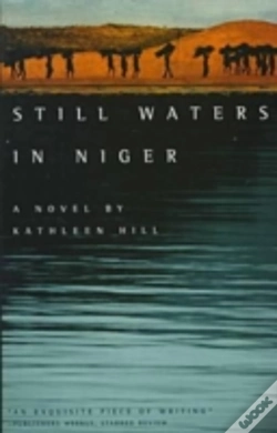 Capa do artigo Still Waters In Niger