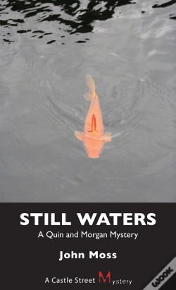 Capa do artigo Still Waters