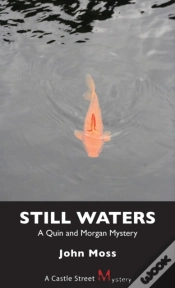 Capa do artigo Still Waters