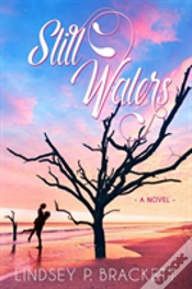 Capa do artigo Still Waters