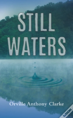 Capa do artigo Still Waters