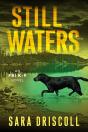 Still Waters - Preview