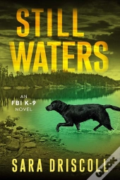 Still Waters
