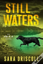Capa do artigo Still Waters