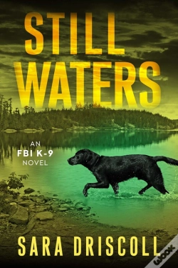 Capa do artigo Still Waters