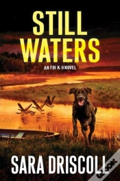 Capa do artigo Still Waters