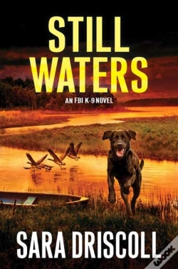 Capa do artigo Still Waters
