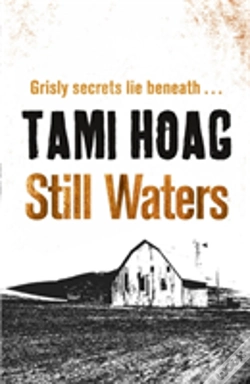Capa do artigo Still Waters