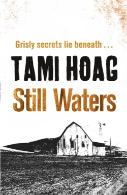 Capa do artigo Still Waters