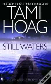 Capa do artigo Still Waters