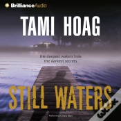 Capa do artigo Still Waters