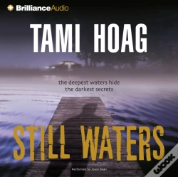 Capa do artigo Still Waters