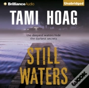 Capa do artigo Still Waters