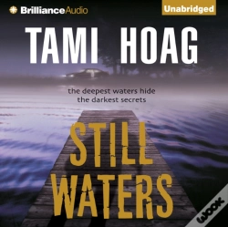 Capa do artigo Still Waters