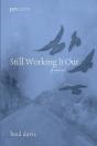 Still Working It Out - Preview