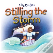 Capa do artigo Stilling The Storm