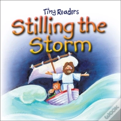 Capa do artigo Stilling The Storm