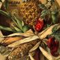 Stilllife - Vinil - Preview