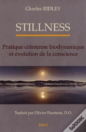 Capa do artigo Stillness