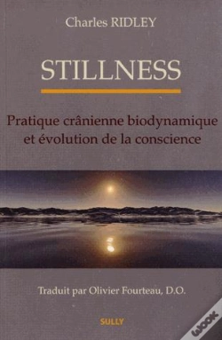 Capa do artigo Stillness