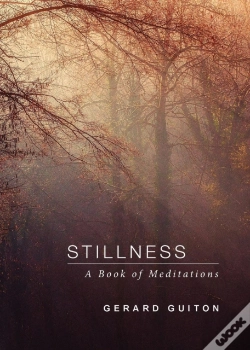 Capa do artigo Stillness