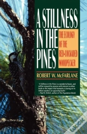 Capa do artigo Stillness In The Pines