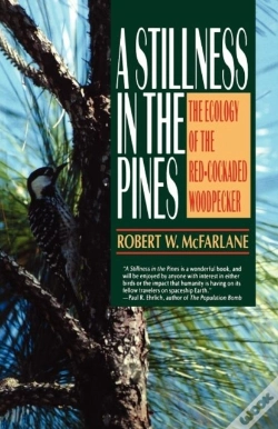 Capa do artigo Stillness In The Pines