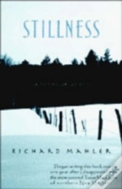 Capa do artigo Stillness