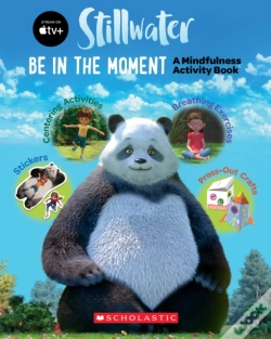 Capa do artigo Stillwater Activity Book