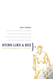 Capa do artigo Sting Like A Bee