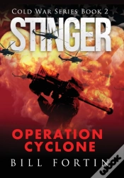 Capa do artigo Stinger Operation Cyclone