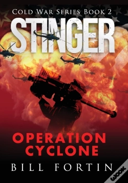 Capa do artigo Stinger Operation Cyclone