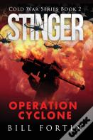 Stinger Operation Cyclone