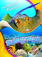 Stingrays