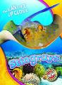 Stingrays - Preview