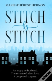 Capa do artigo Stitch By Stitch