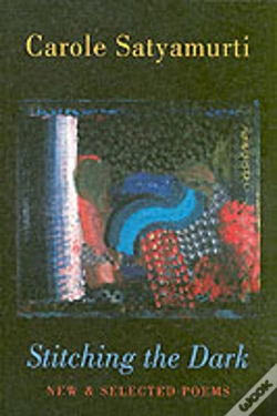Capa do artigo Stitching The Dark