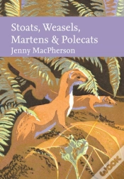 Capa do artigo Stoats, Weasels, Martens And Polecats