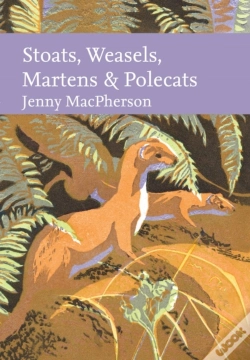 Capa do artigo Stoats, Weasels, Martens And Polecats
