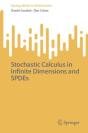 Stochastic Calculus In Infinite Dimensions And Spdes - Preview
