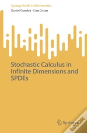 Capa do artigo Stochastic Calculus In Infinite Dimensions And Spdes