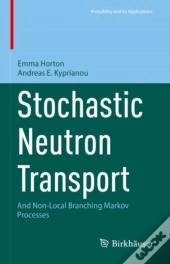 Stochastic Neutron Transport