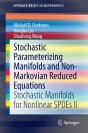 Stochastic Parameterizing Manifolds And Non-Markovian Reduced Equations - Preview