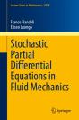 Stochastic Partial Differential Equations In Fluid Mechanics - Preview