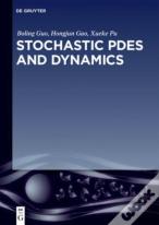 Stochastic Pdes And Dynamics