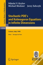 Capa do artigo Stochastic Pde