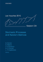 Stochastic Processes And Random Matrices - Preview