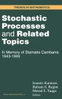 Stochastic Processes And Related Topics - Preview