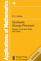 Stochastic Storage Processes